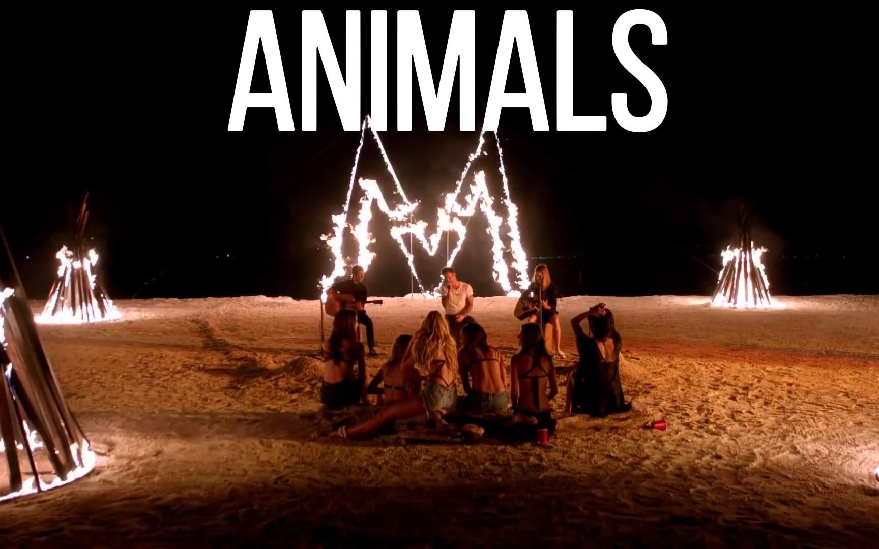 骚当最开心的一次演唱 maroon 5 - animals