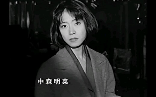 宅配 中森明菜ボーダービデオ 犯罪心理捜査ファイル