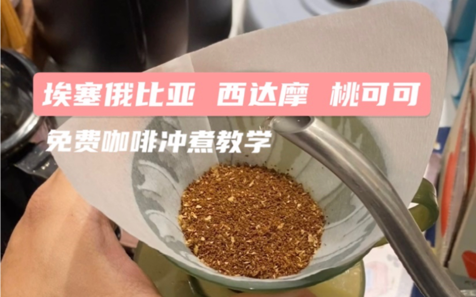 小宁冲煮建议第30集phoebus滤杯还能怎么用如何更大程度拉开层次感