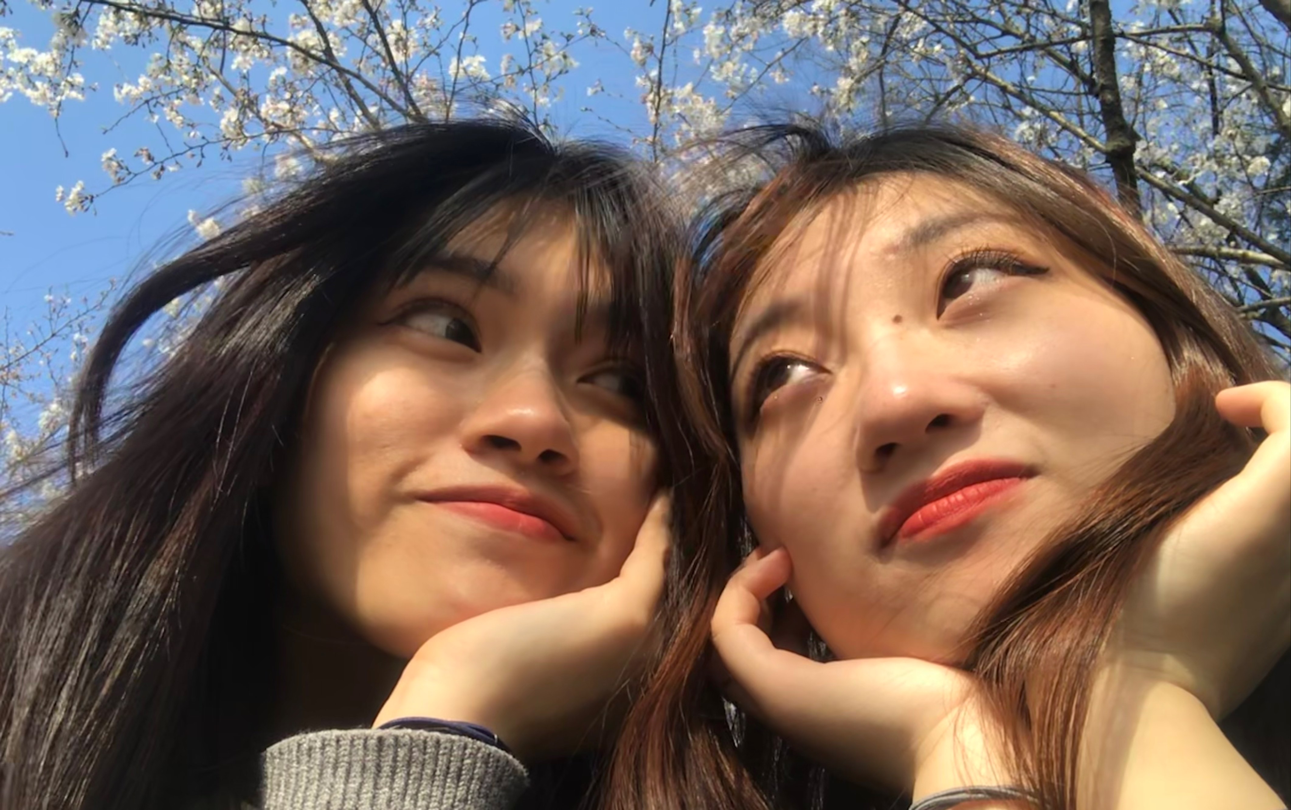 【榴莲&窝瓜】【ppl】小情侣超甜女女恋爱/校园甜蜜日常记录混剪/女