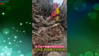 挖掘机剪树根 挖掘机液压树根剪 挖掘机挖树根剪