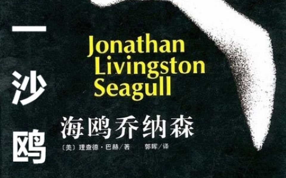 [图]2《天地一沙鸥》《海鸥乔纳森》（Jonathan Livingston Seagull）by 李查‧巴哈（Richard Bach）理查德 巴赫 夏杪译 新版