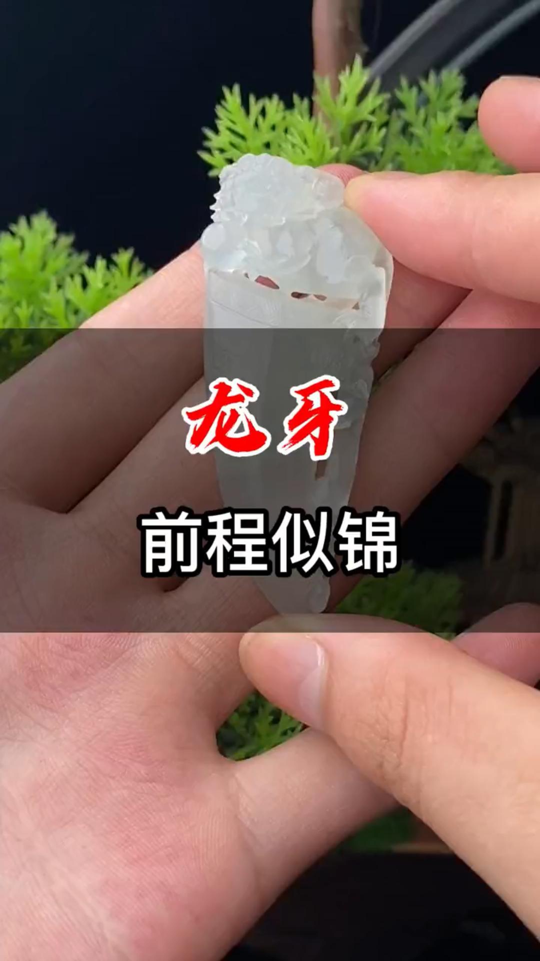 龙牙,前程似锦#翡翠首饰##翡翠挂件##天然翡翠##翡翠市场##翡翠