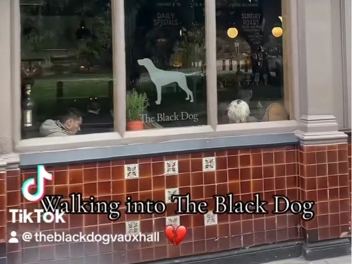 [图]听着霉霉新歌The Black Dog走进在The Black Dog酒吧，旧习在尖叫中死去…