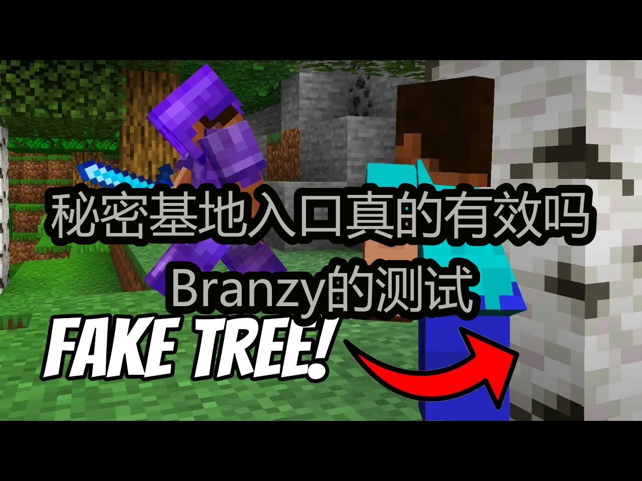 秘密基地入口真的有效吗:Branzy的测试  Branzy哔哩哔哩bilibili