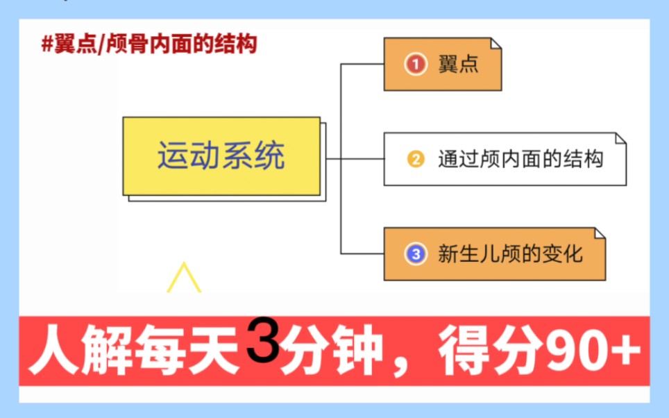 [图]《系统解剖专升本核心知识点背诵》【专升本系统解剖背诵运动系统翼点新生儿颅的变化第3天】专升本系统解剖大学期末考试核心知识点每天背诵3分钟轻松拿高分专升本系统解剖