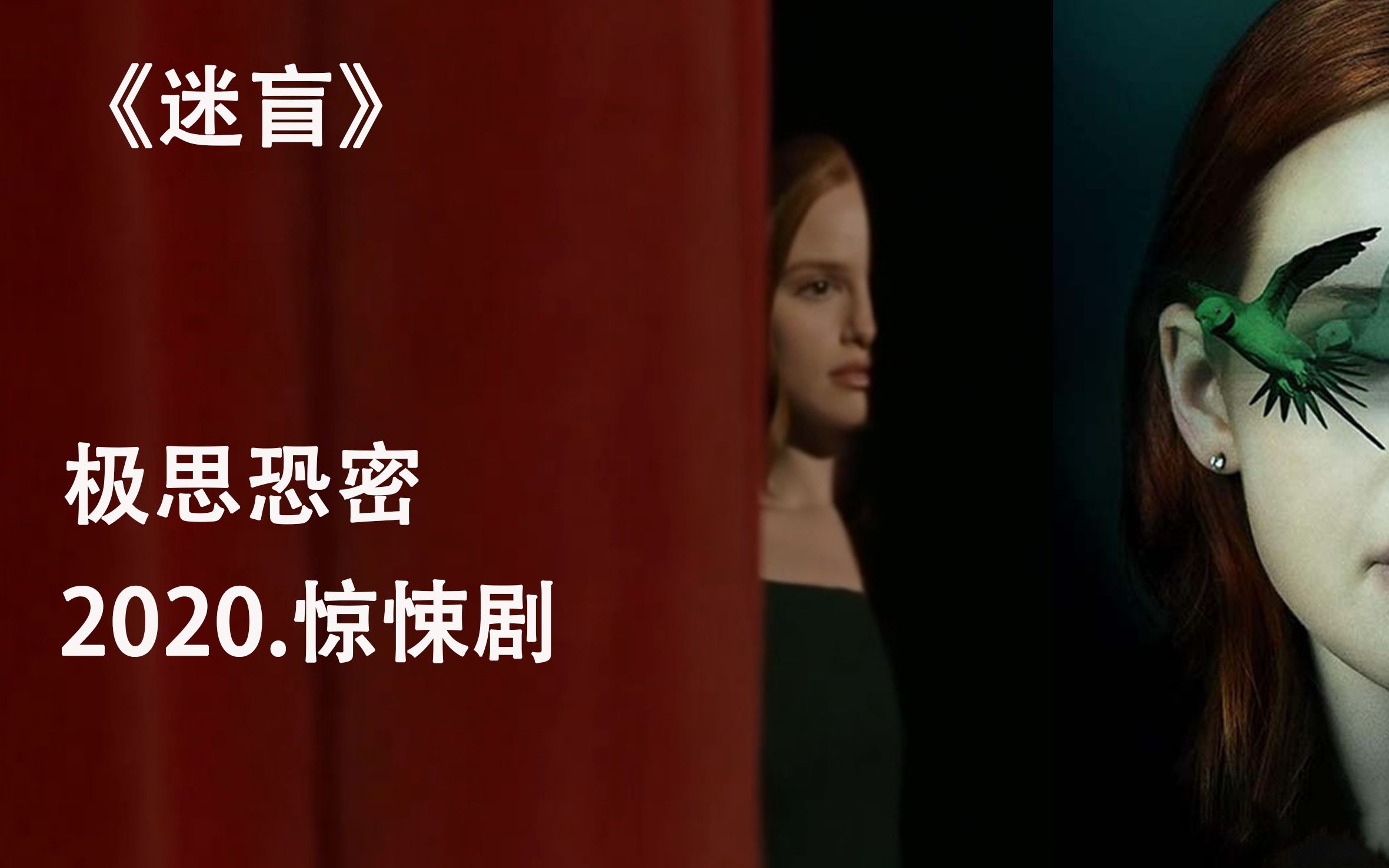 迷盲:女星被袭导致失明,斗智斗勇,逃出囚笼_哔哩哔