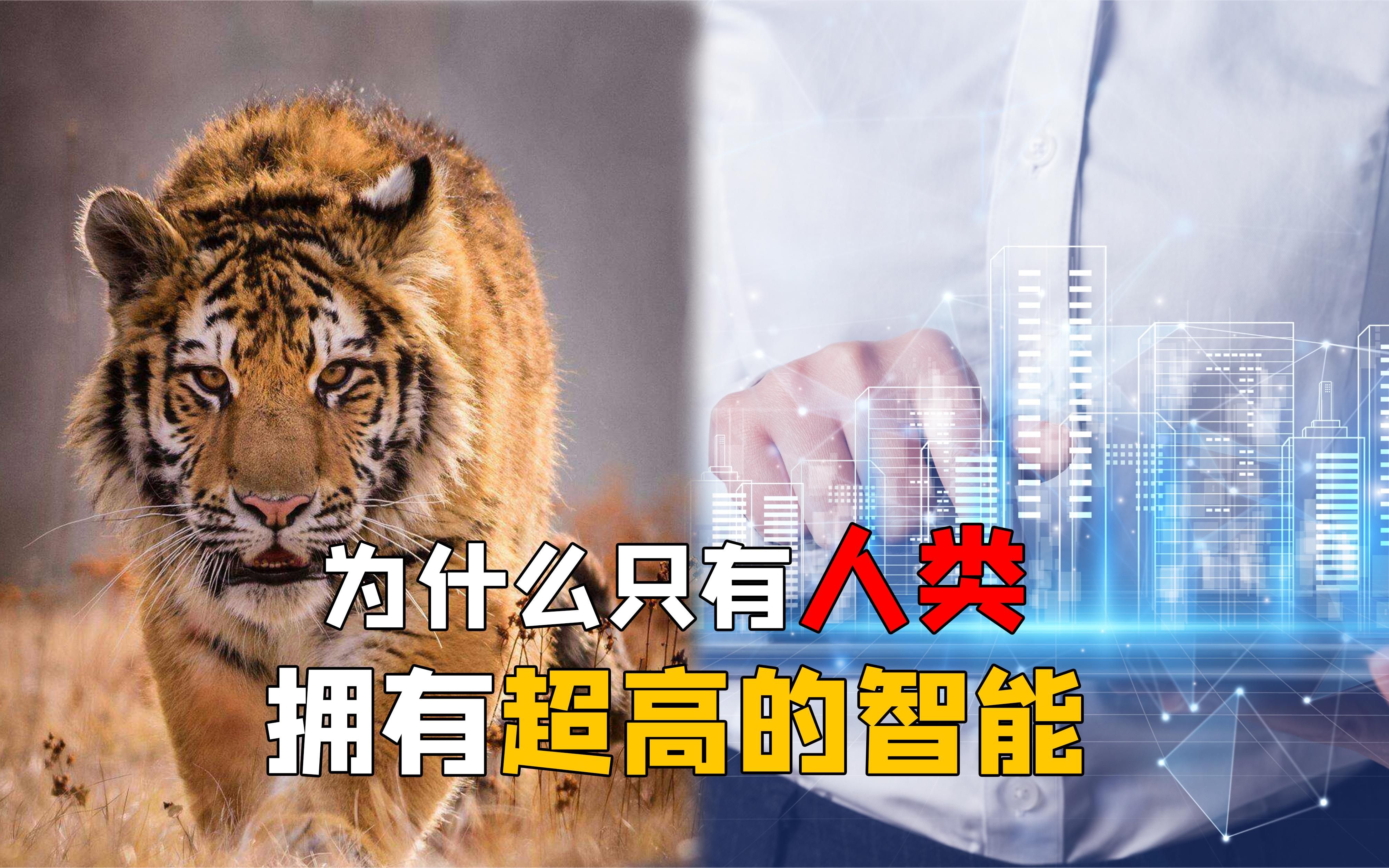 [图]我们的祖先来自哪里？人类真的是猿进化而来的吗？揭秘人类起源