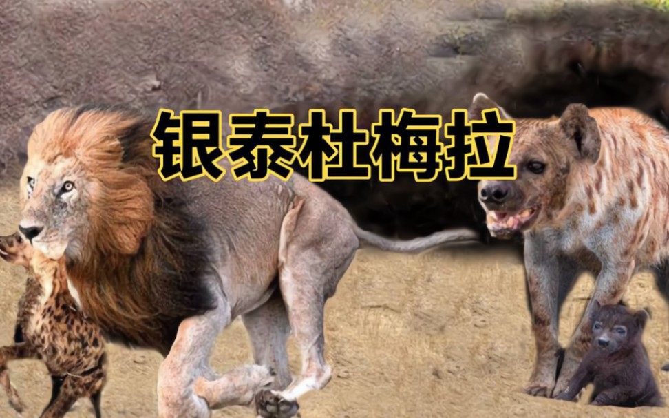 永世的仇敌.连杀两任鬣狗女王的银泰杜梅拉.