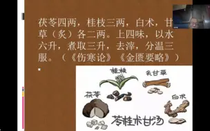 Download Video: 黄煌经方实践录之苓桂术甘汤