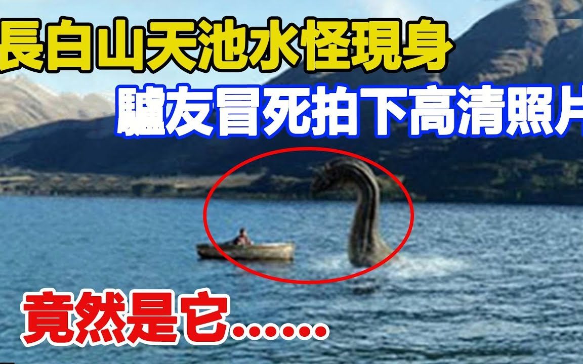 长白山天池水怪现身,驴友冒死拍下高清照片,竟然是它