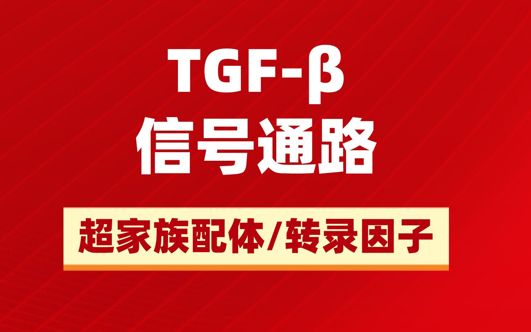 TGF‹信号通路的关键分子—超家族配体和转录因子哔哩哔哩bilibili