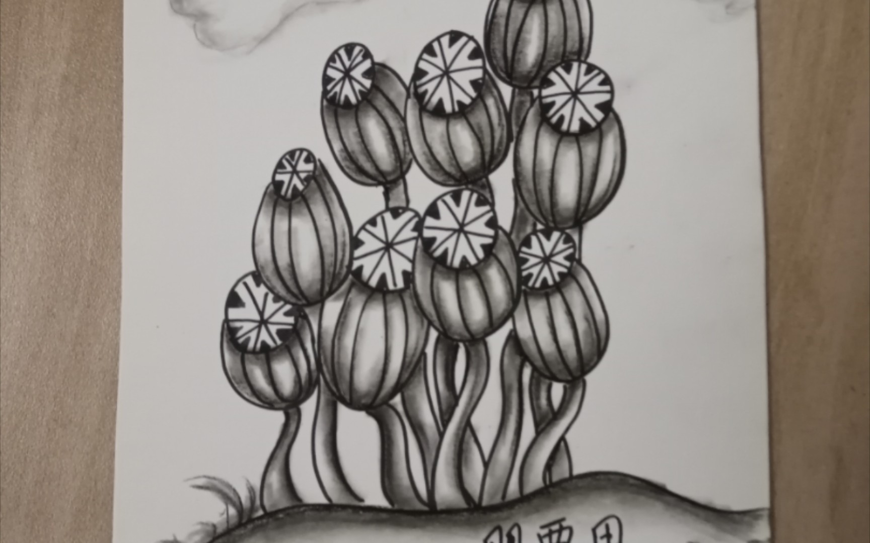 禅绕画基础图样《罂粟果》