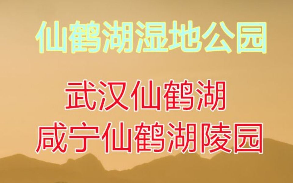 泰康仙鹤湖湿地公园简介哔哩哔哩bilibili