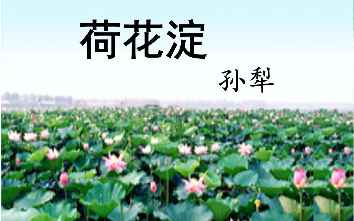 高中语文|荷花淀哔哩哔哩bilibili