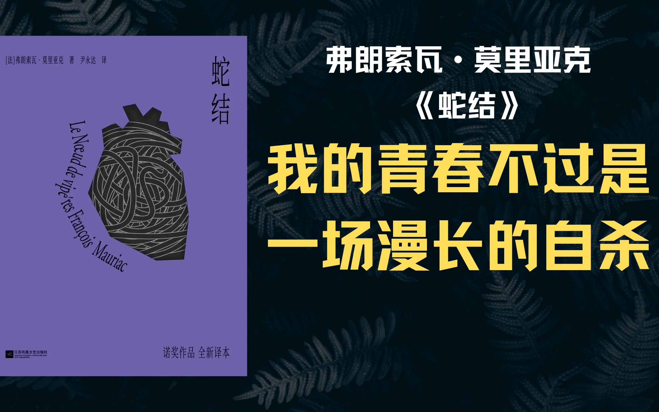 【蛇结】法国诺贝尔文学奖得主【莫里亚克】集大成之作,宗教背后的虚伪,生命最后的自白哔哩哔哩bilibili