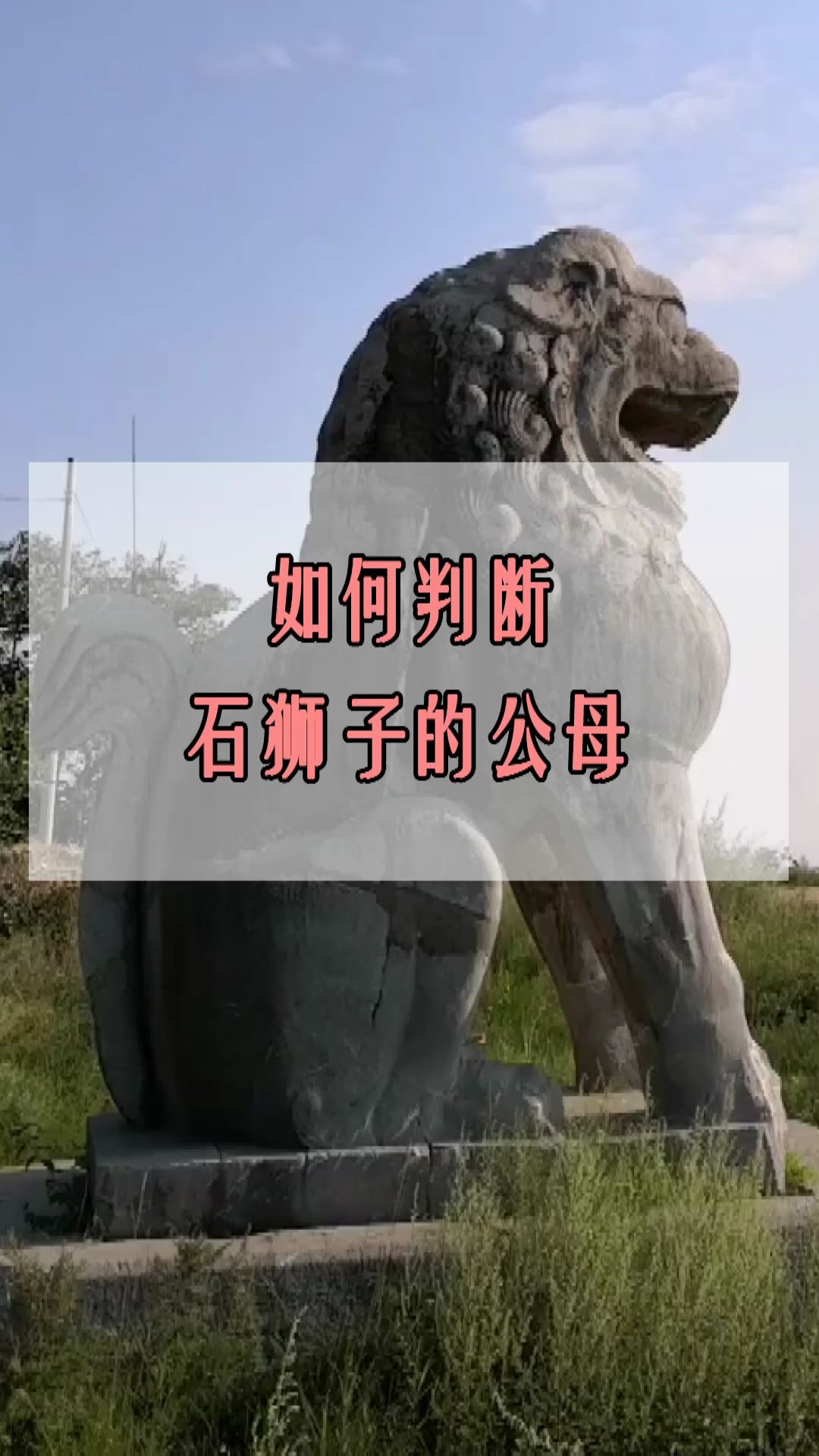 狮子雕塑公母之分图片