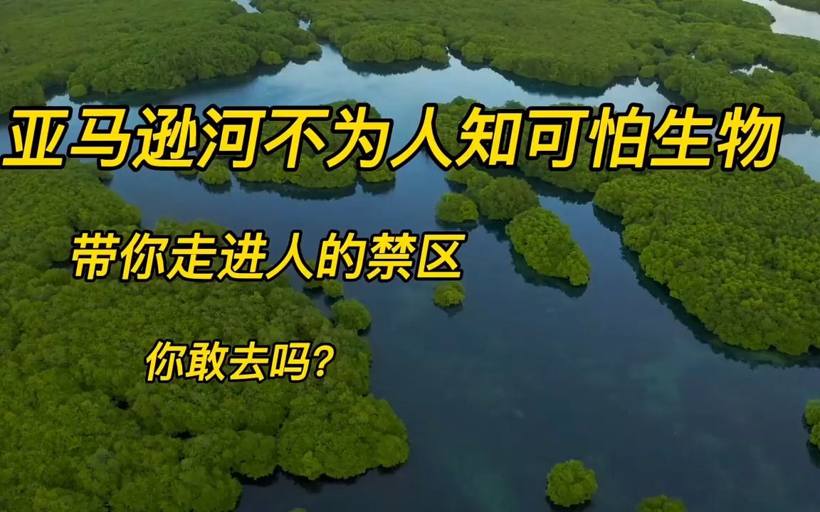 亚马逊河 恐怖图片