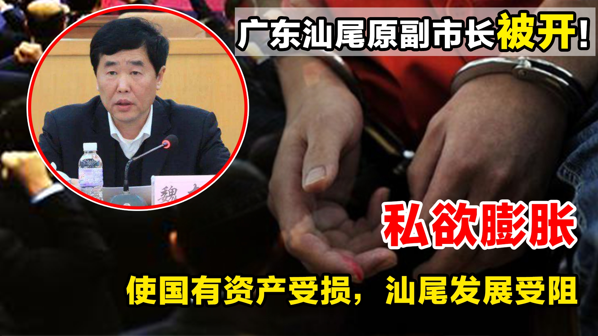 广东汕尾原副市长被开!私欲膨胀,使国有资产受损,汕尾发展受阻哔哩哔哩bilibili