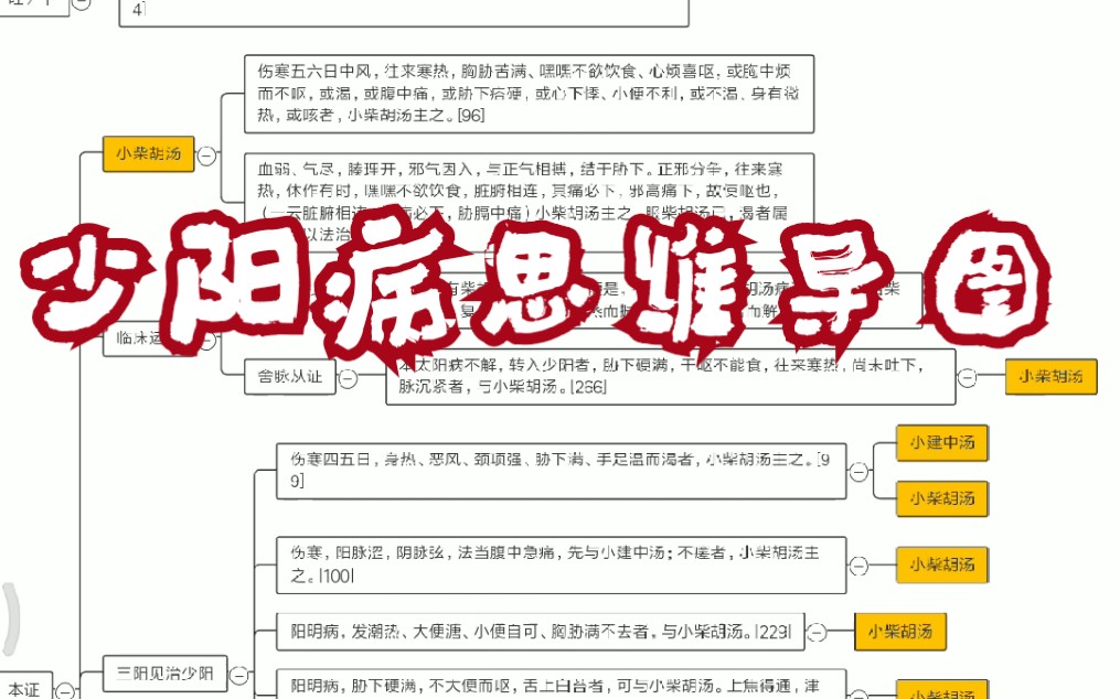 活动作品伤寒论思维导图少阳病篇