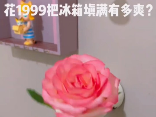 [图]集美tv之1999填满