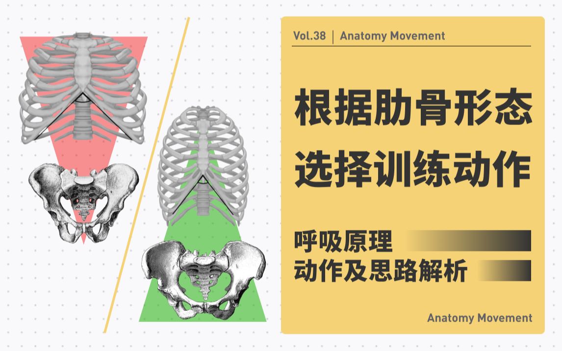 如何根据天生肋骨形状,选择适合自己的呼吸及力量训练动作丨解构运动哔哩哔哩bilibili