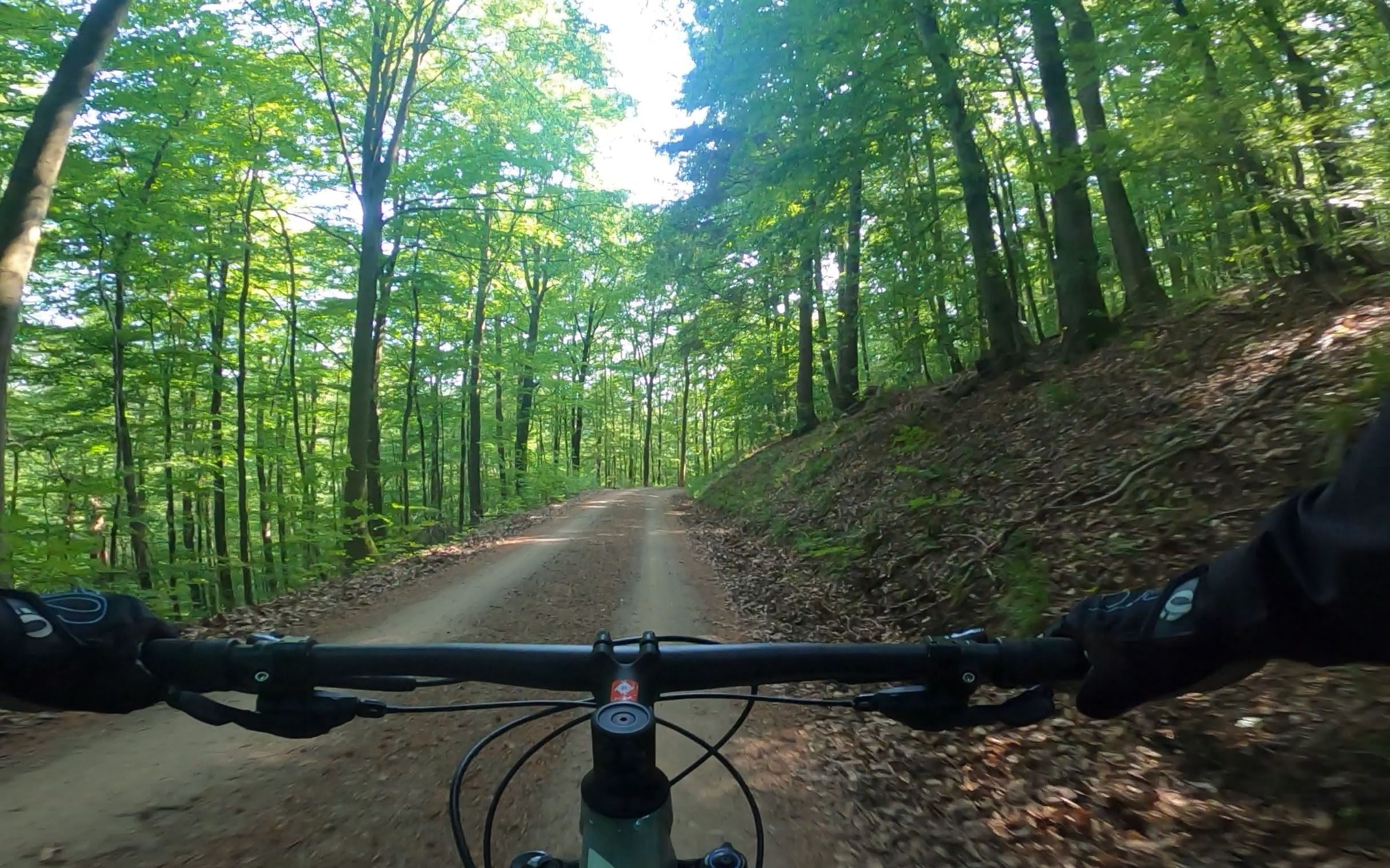 德国 哈茨山 林道 山地车速降