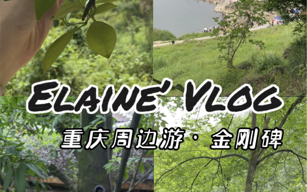 重庆vlog|主城周边游𐟌𓮐Š金刚碑一日攻略哔哩哔哩bilibili