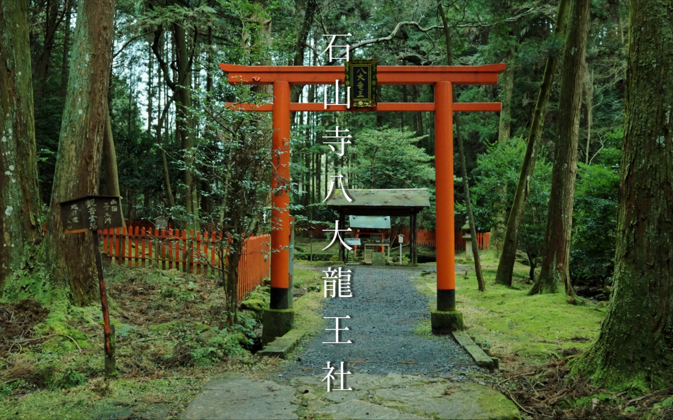 【滋贺县最古老的圣地:東寺真言宗石山寺】起源于奈良时代的古寺|八大