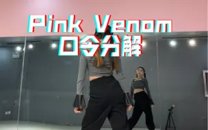 下载视频: 年会舞蹈【Pink venom】口令分解慢动作