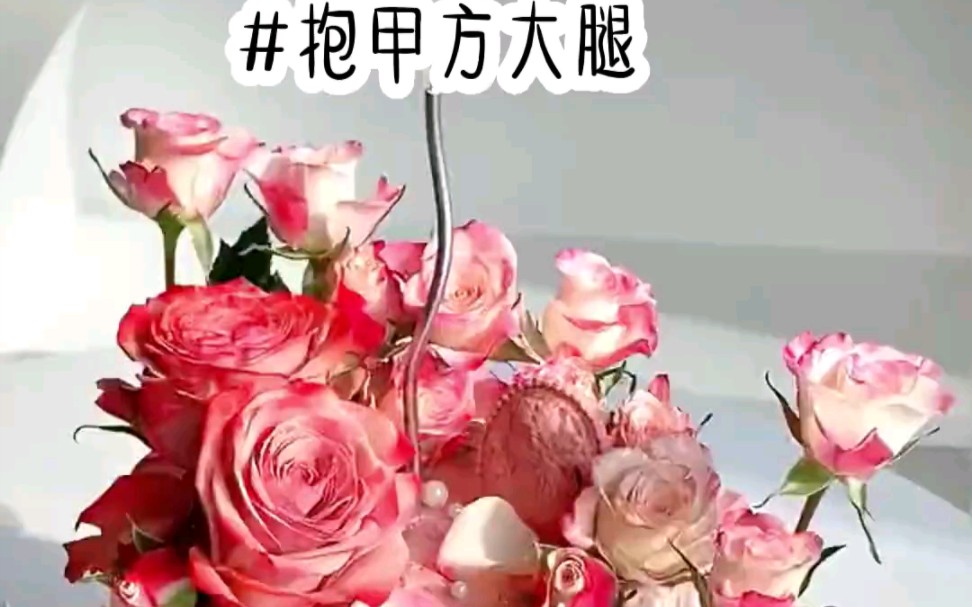 [图]生活不易，只能抱紧大腿