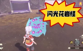 闪光花岩怪 哔哩哔哩 Bilibili