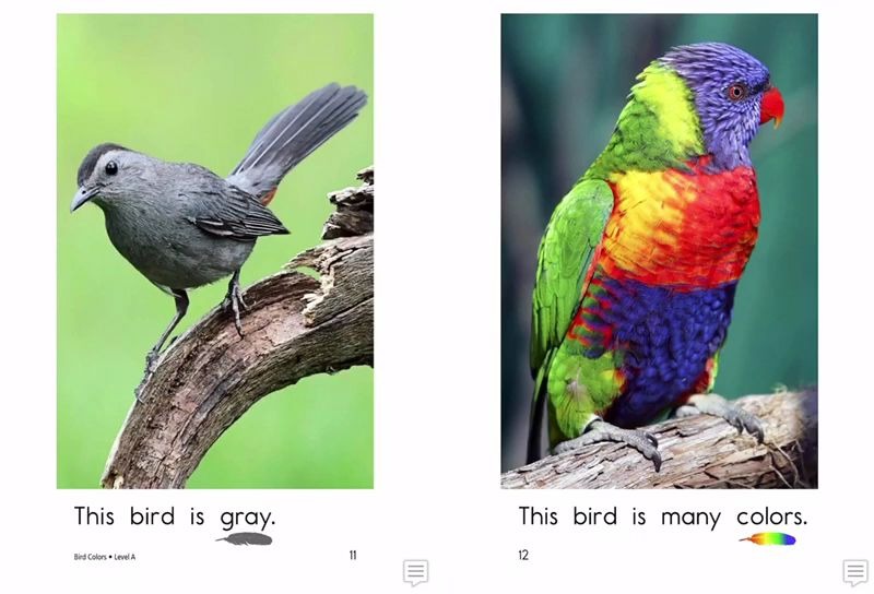 ashley陪你读英语绘本birdcolors
