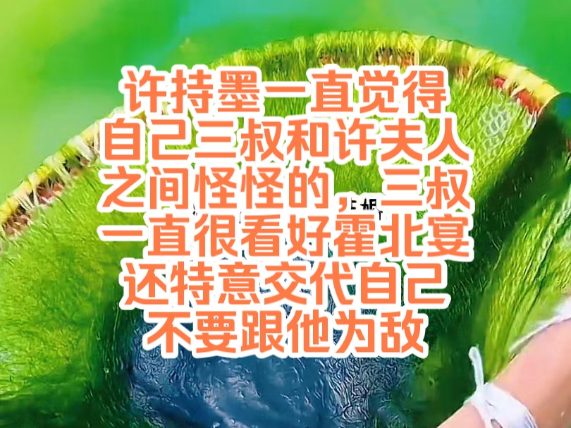 [图]《陌上宠妻26》许持墨一直觉得自己三叔和许夫人之间怪怪的，三叔一直很看好霍北宴，还特意交代自己不要跟他为敌