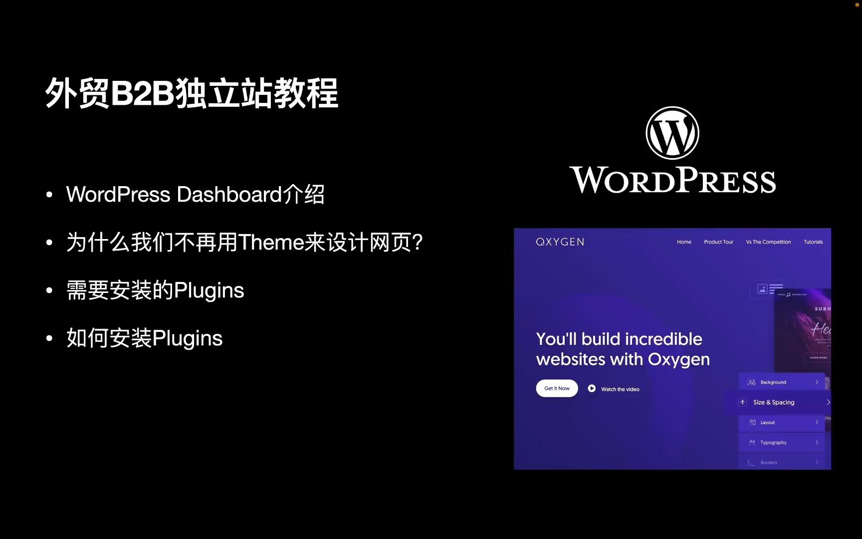 1. 与Dashboard第一次见面  免费&全网最详细Wordpress外贸B2B独立站搭建教学系列哔哩哔哩bilibili