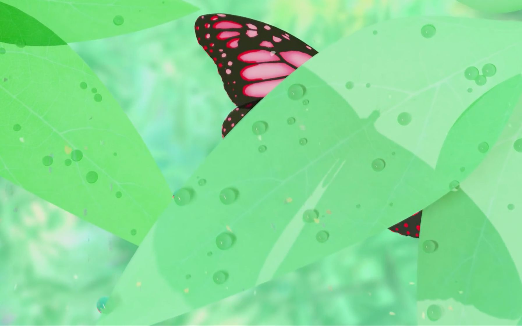 【陪你学习系列:更新至0801·lofi·chilledcow合集】