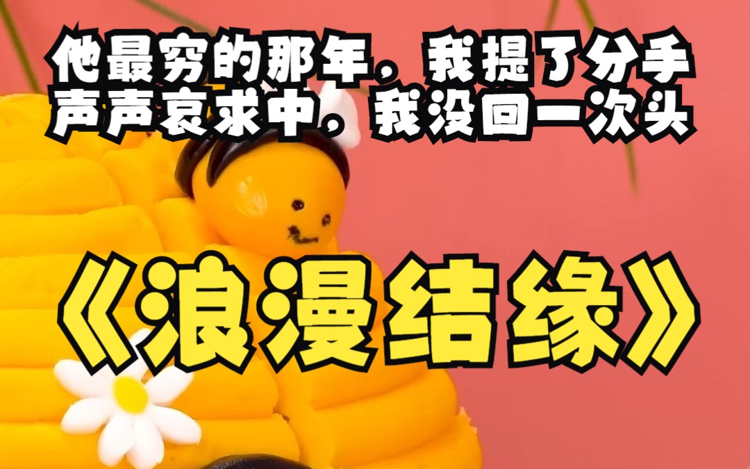 书名《浪漫结缘》哔哩哔哩bilibili