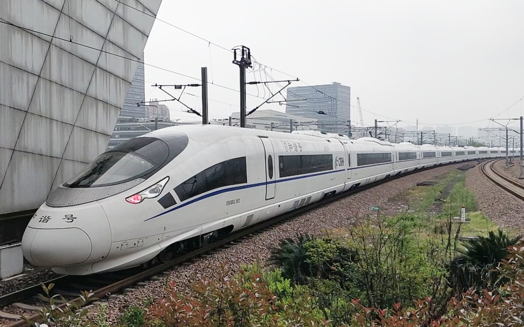 crh380cl鲨鱼图片