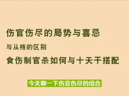 Descargar video: 伤官伤尽的局势与喜忌，和从格的区别。食伤制官杀如何与十天干搭配