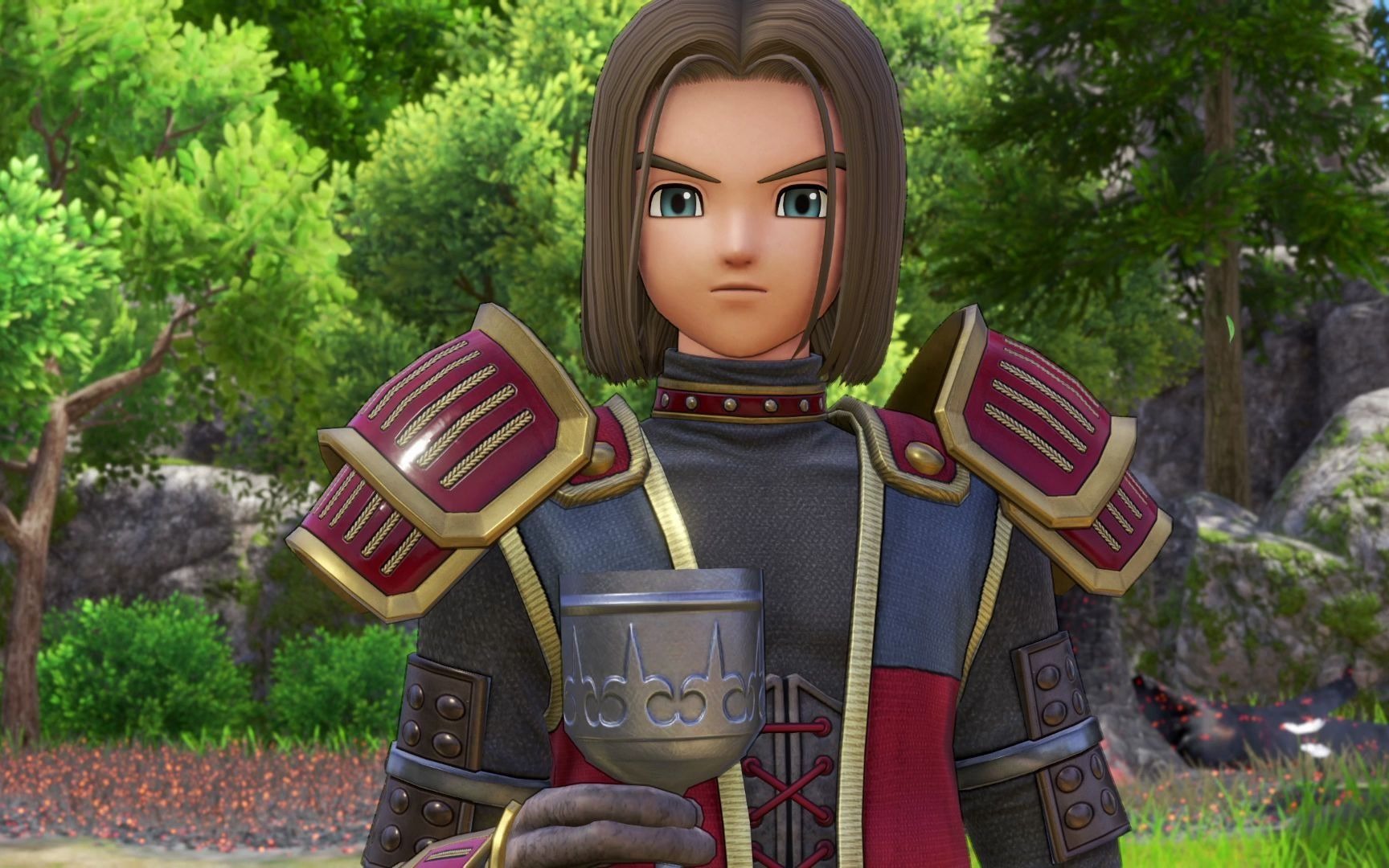 勇者斗恶龙11s流程16