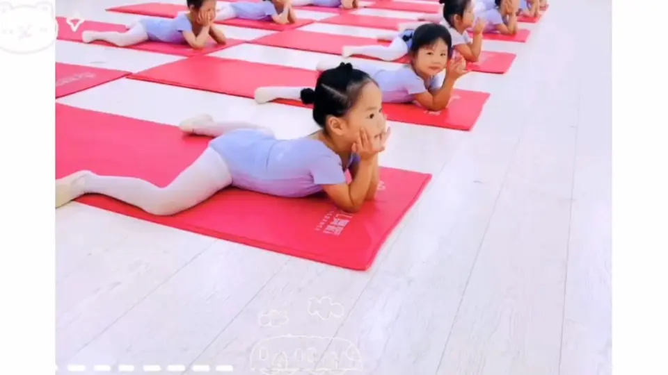 张婉莹 