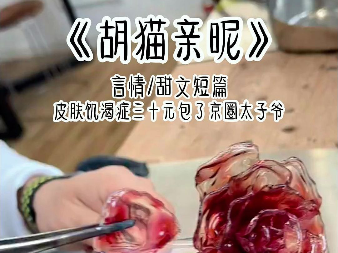 胡猫亲昵哔哩哔哩bilibili