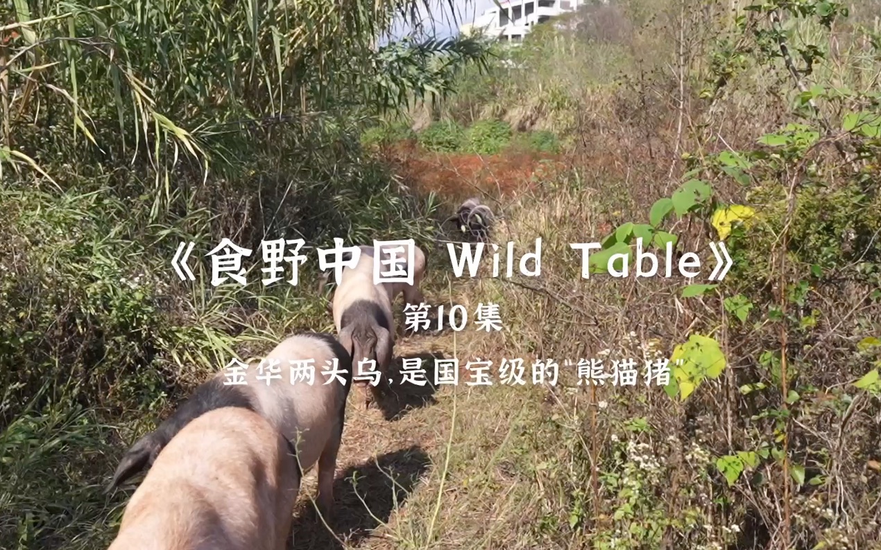 [图]《食野中国 Wild Table》第10集预告片