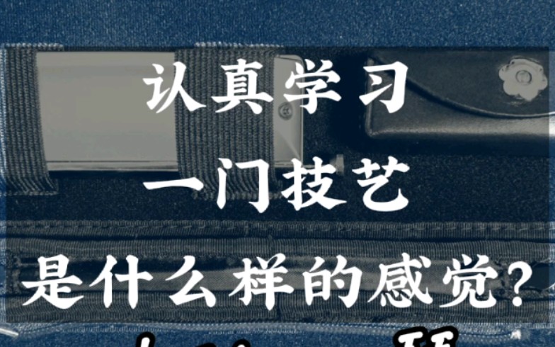 认真学习一门技艺是什么样的感觉?我和十孔口琴的故事哔哩哔哩bilibili