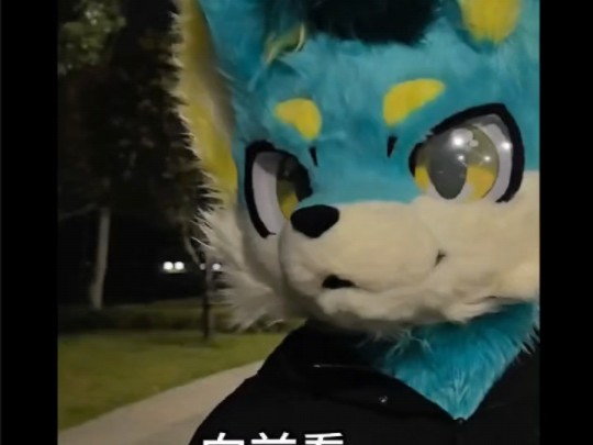 向左向右furry版哔哩哔哩bilibili