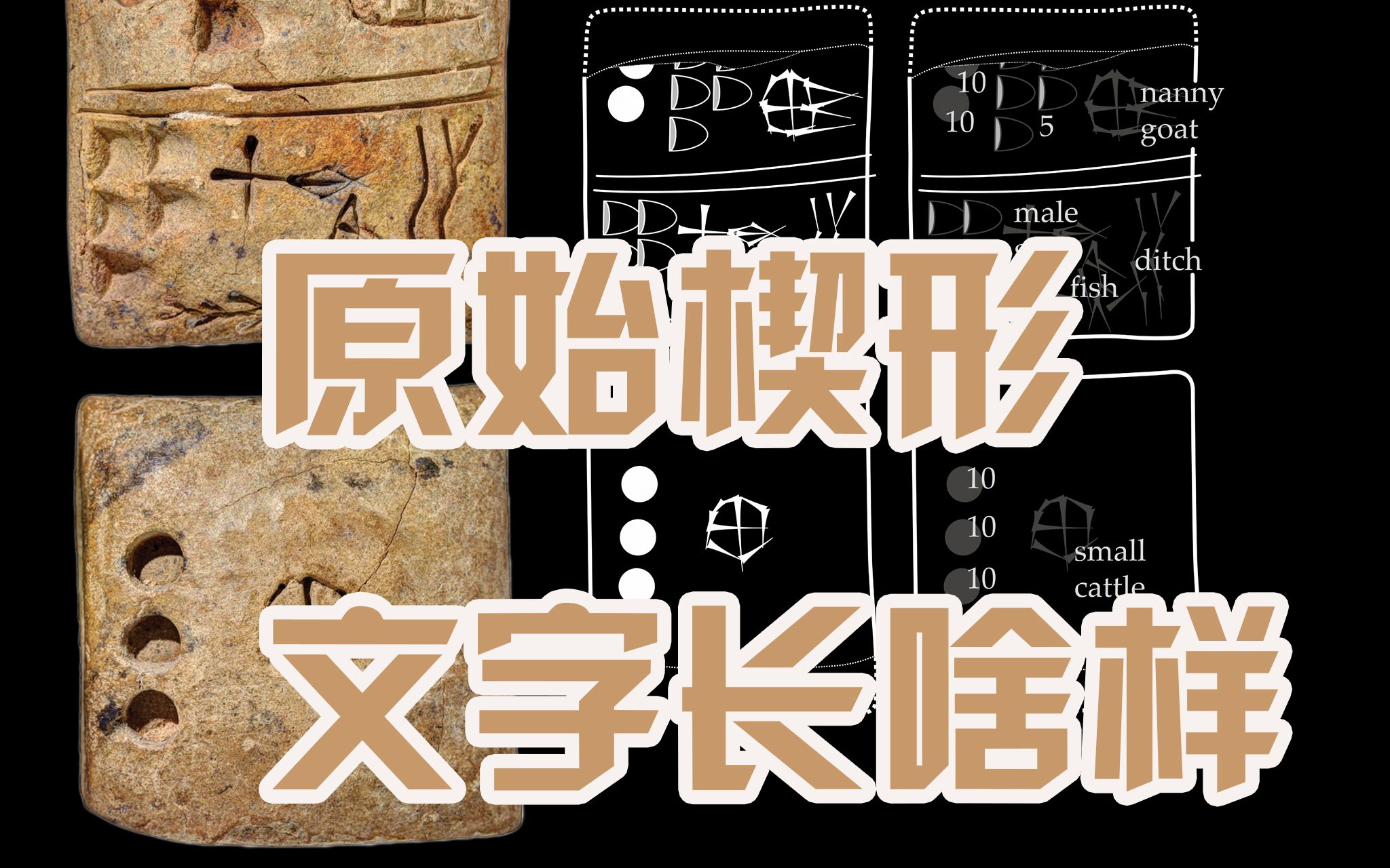 原始楔形文字长啥样?释读一种人类最早期的文字之一:原始楔形文字哔哩哔哩bilibili