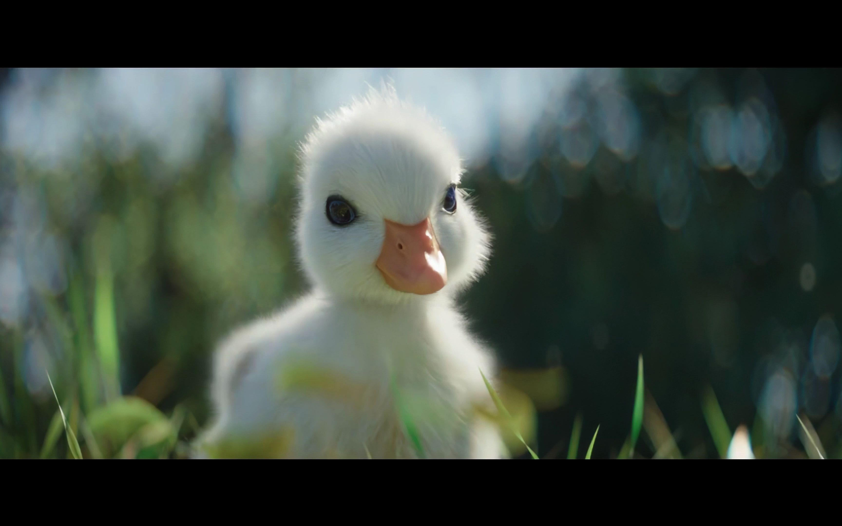 【4k ai超分辨率 补帧120fps】迪士尼《小鸭子》