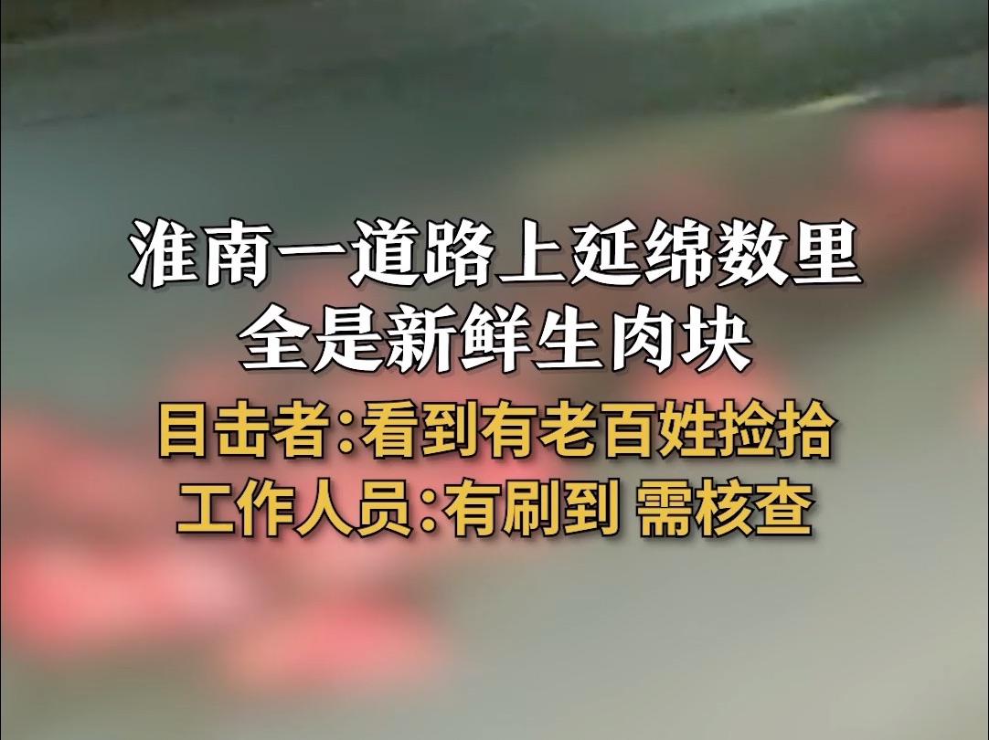 淮南一道路上延绵数里 全是新鲜生肉块 目击者:看到有老百姓捡拾 工作人员:有刷到 需核查哔哩哔哩bilibili