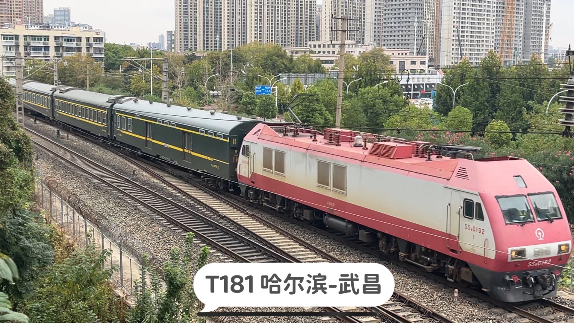 从哈尔滨到武汉乘坐哪趟列车?我推荐这趟T181次列车哔哩哔哩bilibili