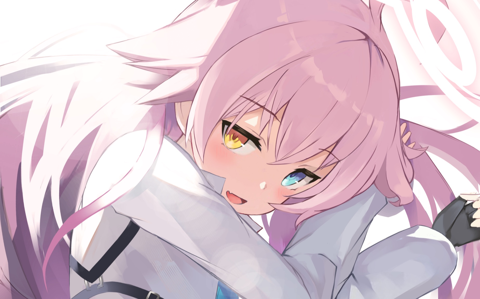 【蔚蓝档案】小鸟游星野坠入爱河